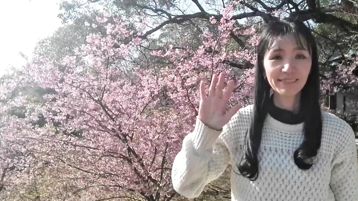 そして午後は #宮地嶽神社 を廻り神社境内の #河津桜 で一足早く #桜  鑑賞も出来ました😆🌸　この日は他にも沢山神社巡り出来て楽しかったです🥰💖　
#ポートレート