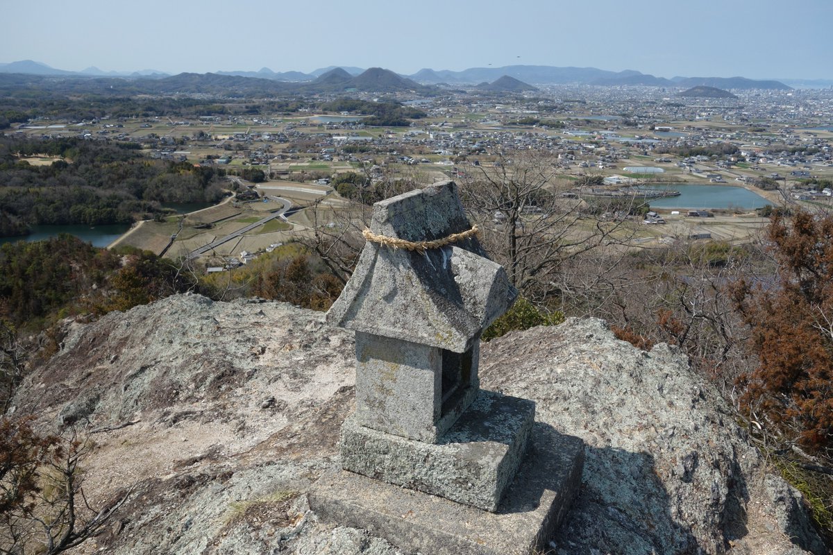 どーらく tweet media