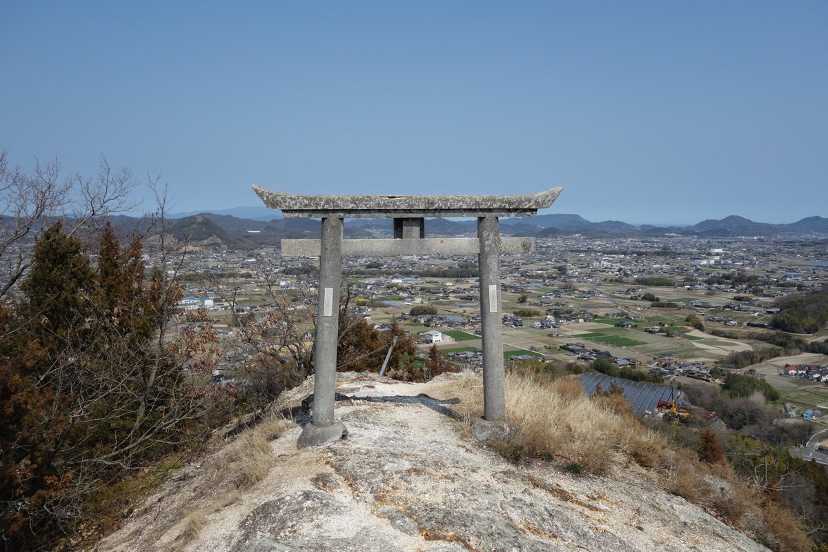 どーらく tweet media