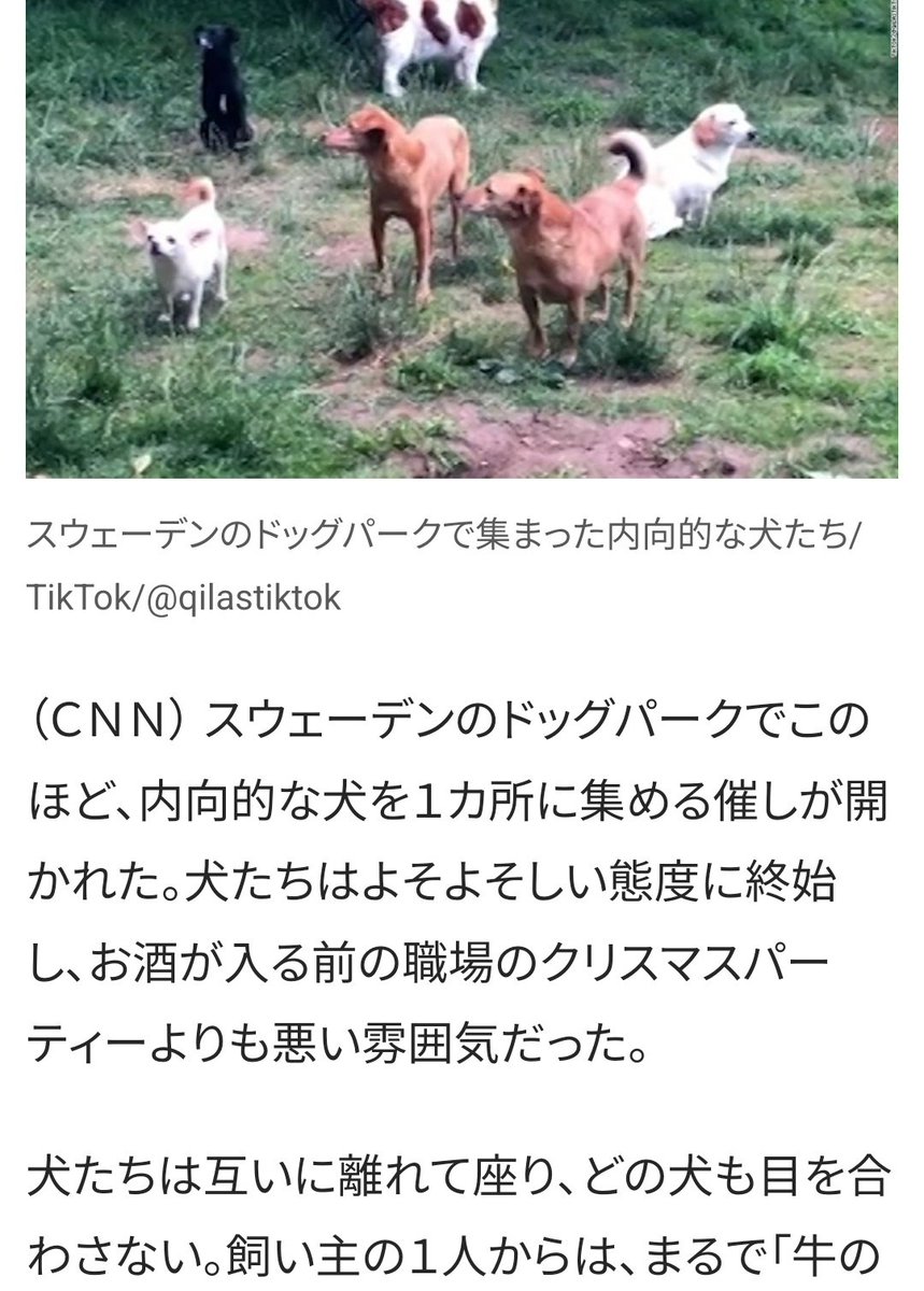 まや ´- tweet media