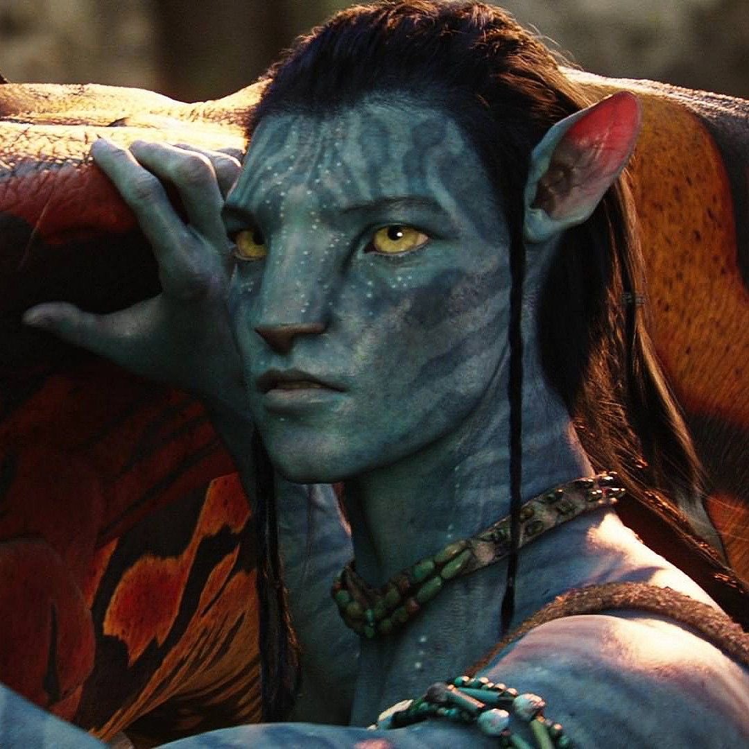 Hibiscus Girl! tweet media