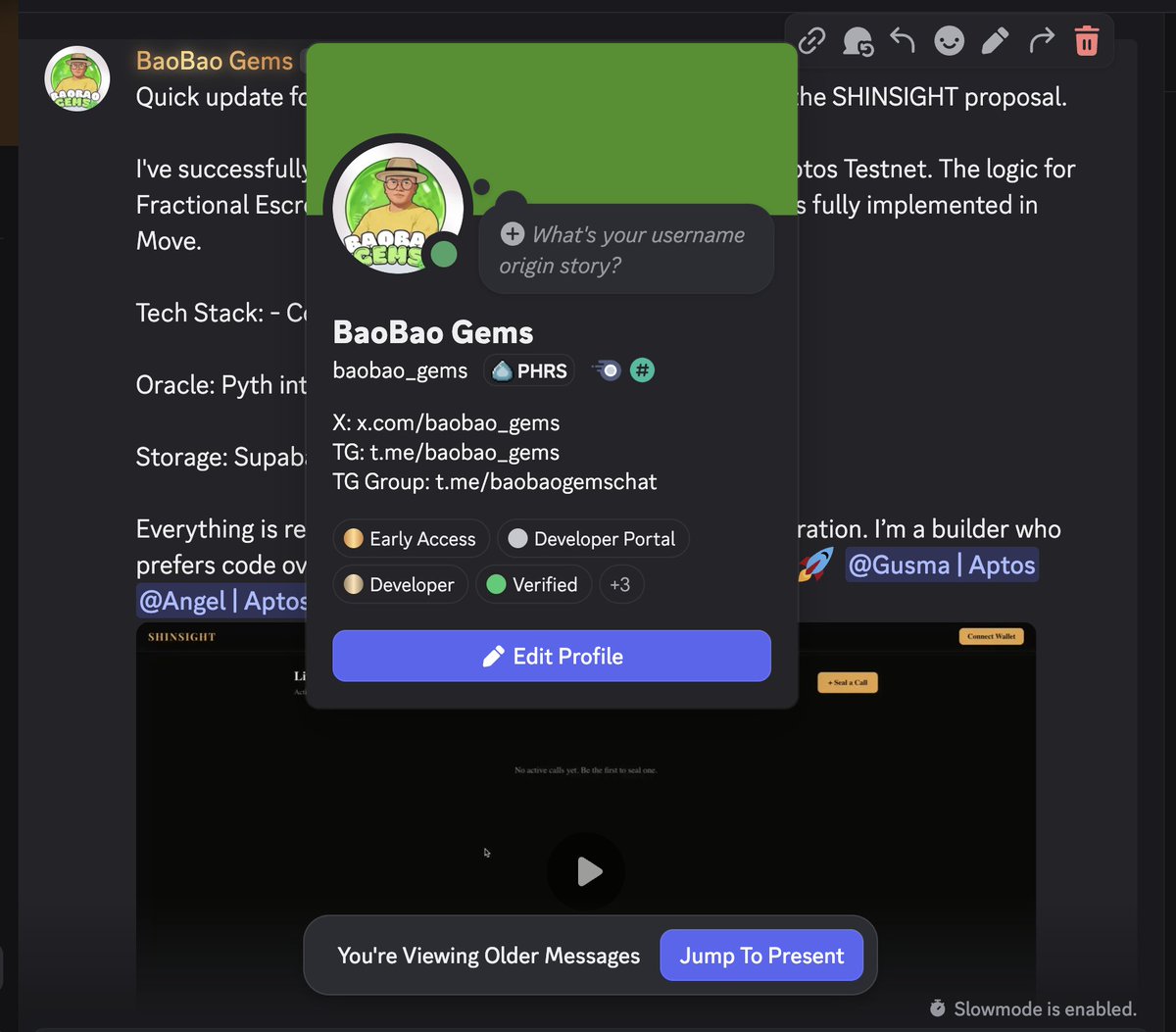 BaoBao Gems tweet media