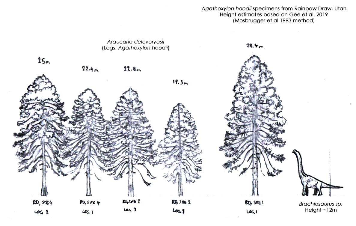 Tom Parker tweet media