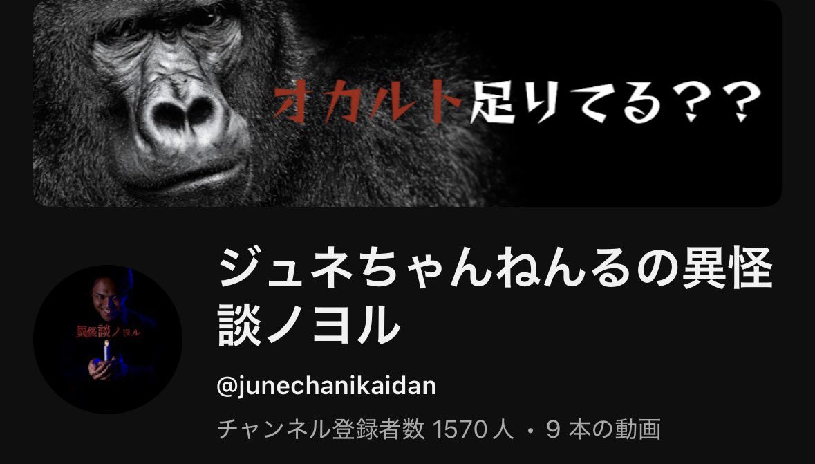 ジュネちゃん🦍 tweet media