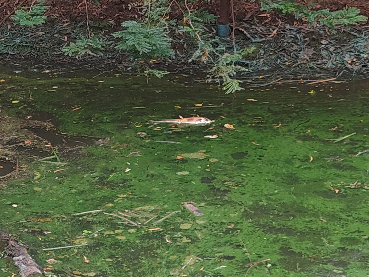 BethB🦋🐞🦜🦁🦉🐝🐣 tweet media