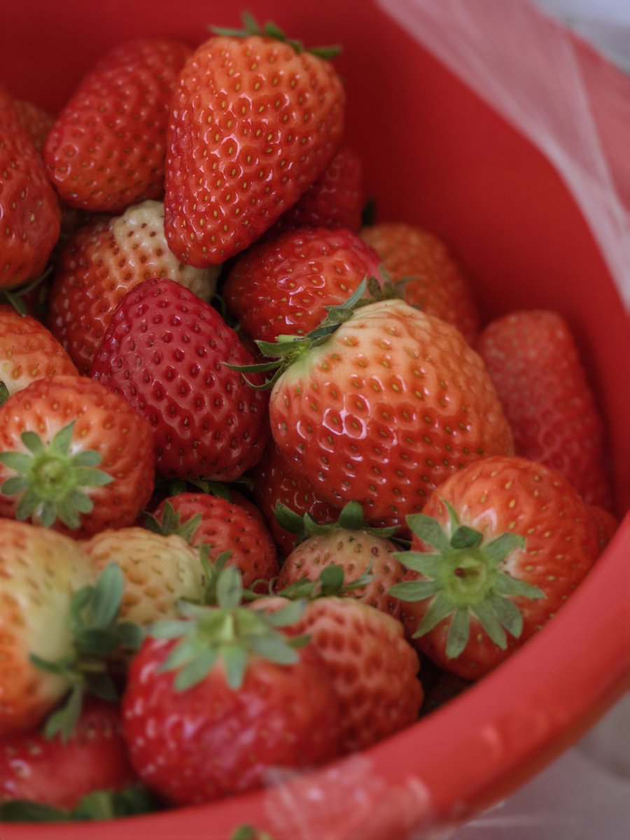 Ice Universe tweet media