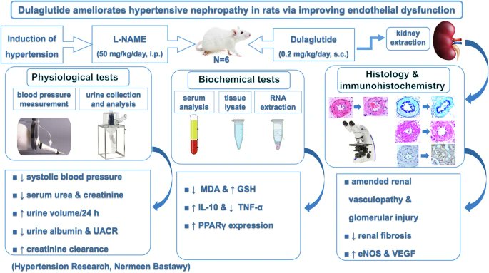 Hypertension Research tweet media