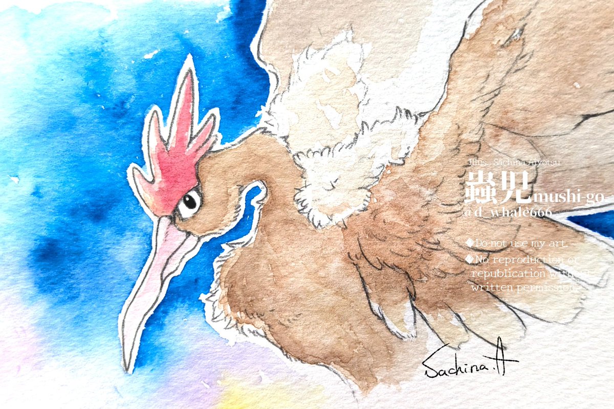 初代の相棒、ふわふわオニドリル🪶