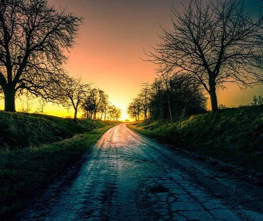 Joanna Stauropoulou. tweet media