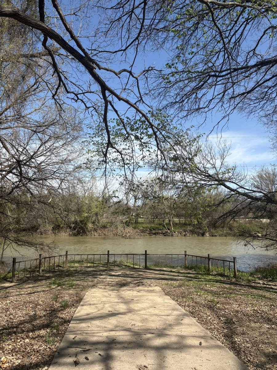 BallTreatment tweet media