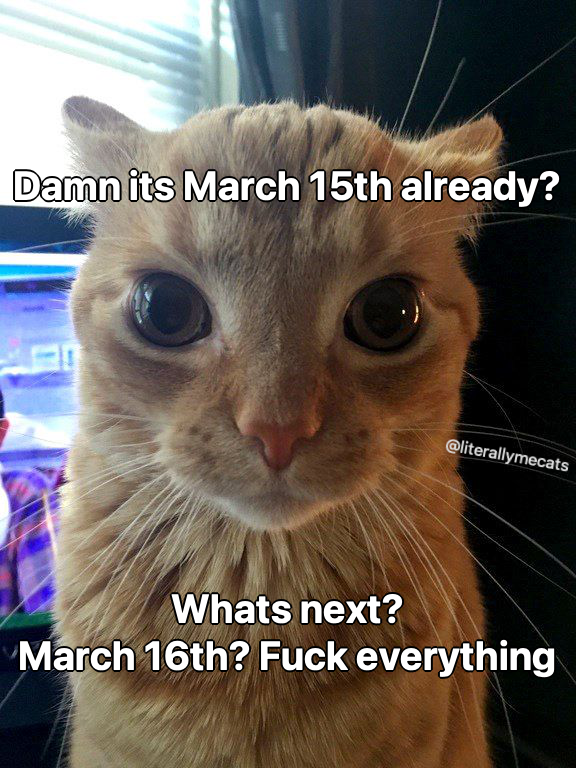 literallymecats's tweet photo. https://t.co/ZBruUAfdcr
