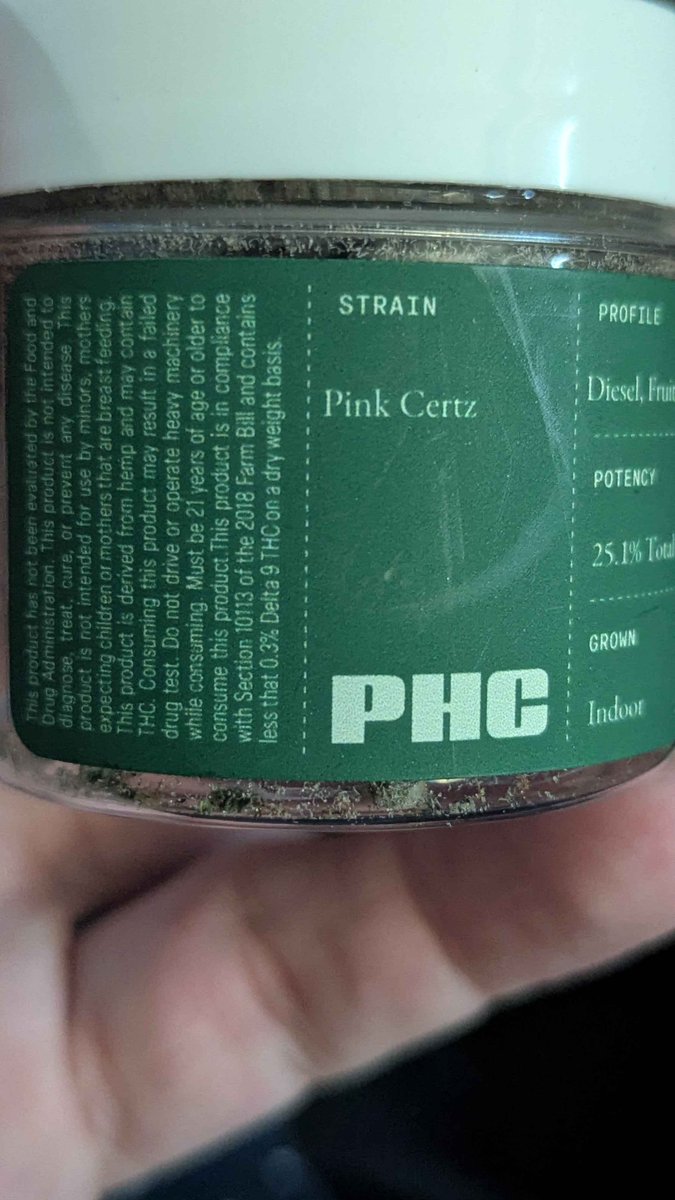 morgan! 🦖🏳️⚧️ tweet media