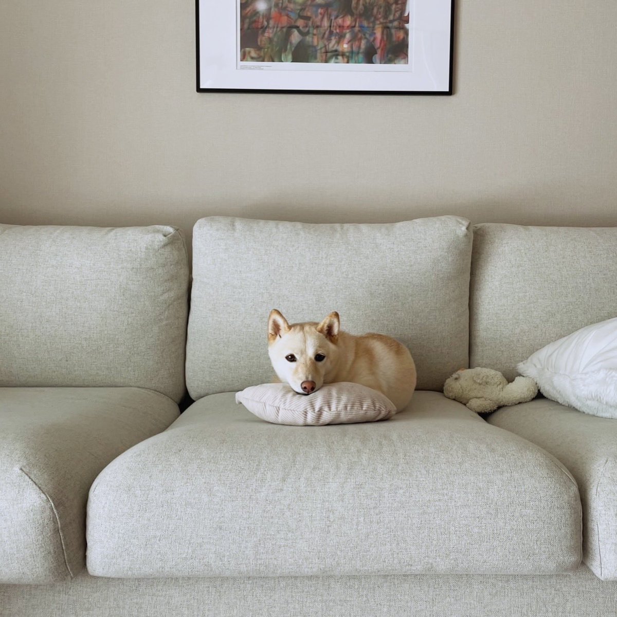 milliyenn's tweet photo. Happy Birthday 🎂3️⃣ 
#shiba #edm #melodicdubstep https://t.co/OK6puRIbtY