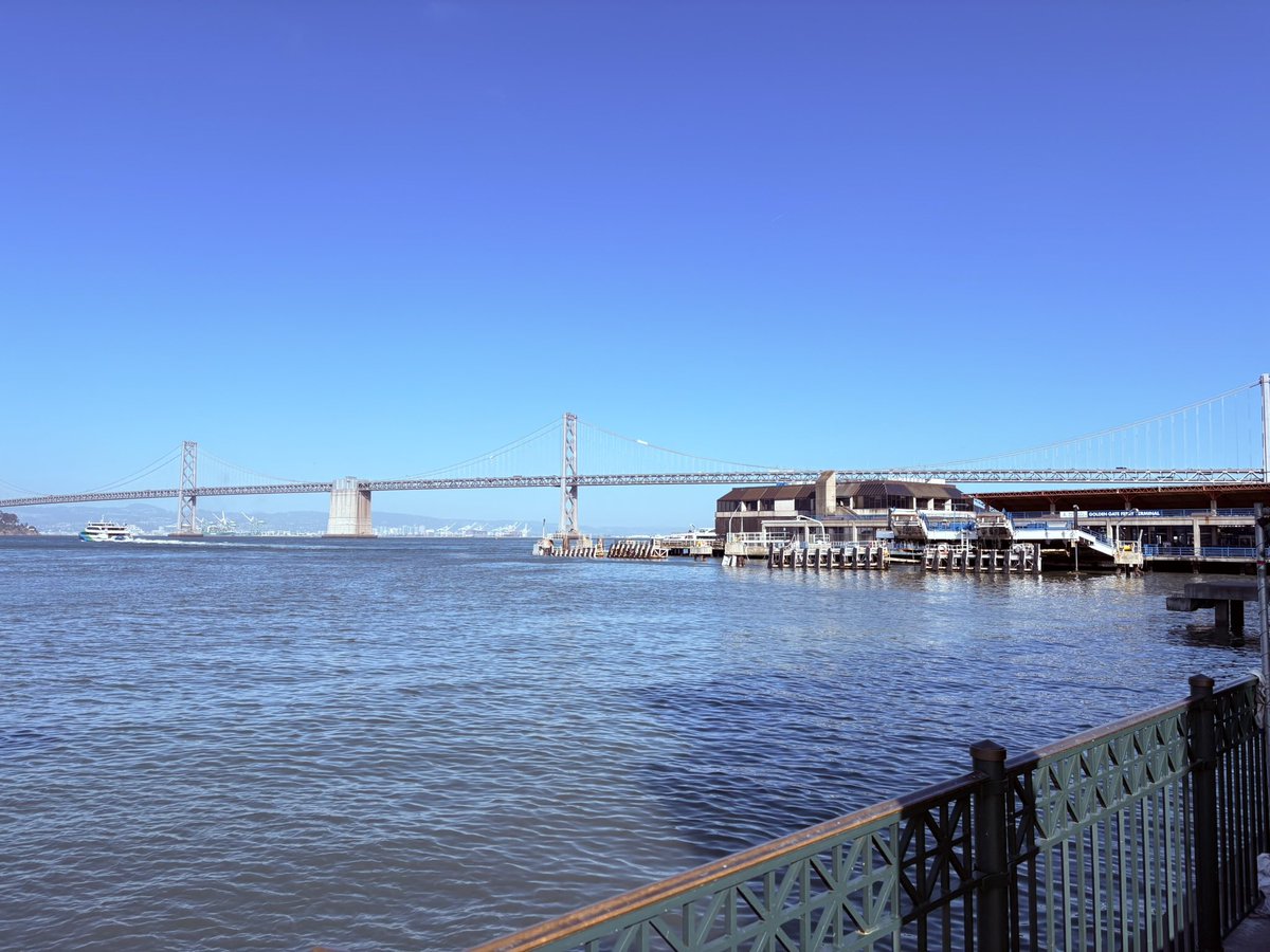 Wayne Zhang tweet media