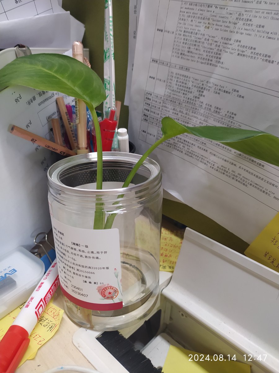 CyclesFan/Assistant tweet media