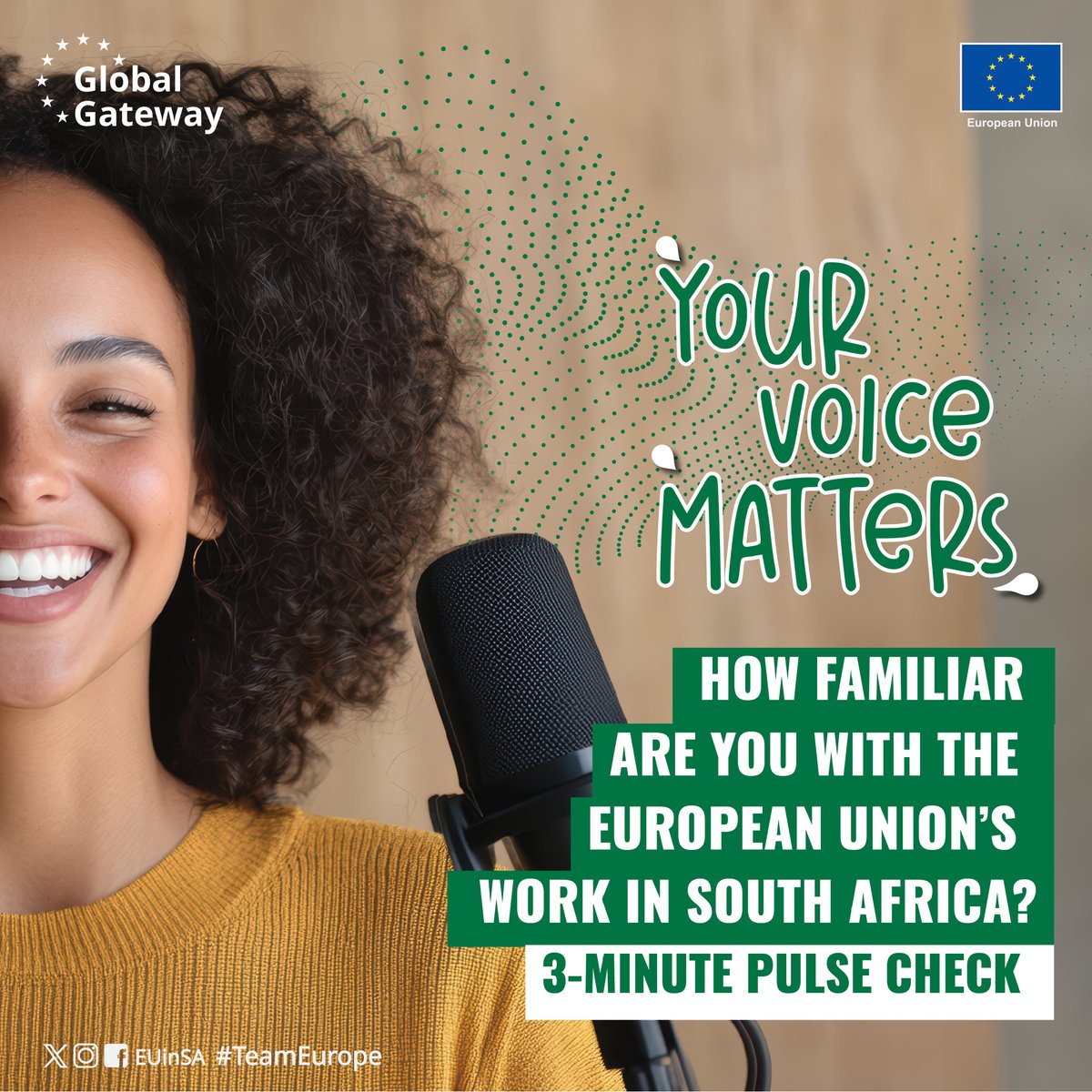 EU in SA tweet media