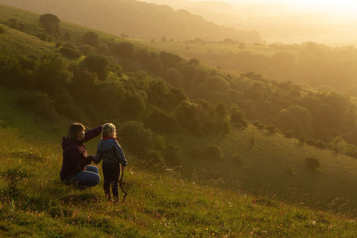 South Downs National Park tweet media