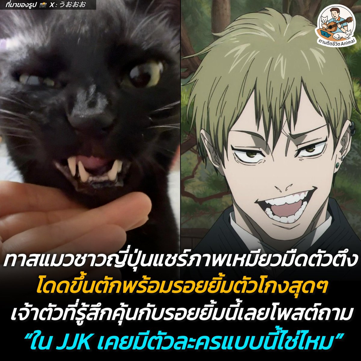 ตามติดชีวิตAnimal tweet media