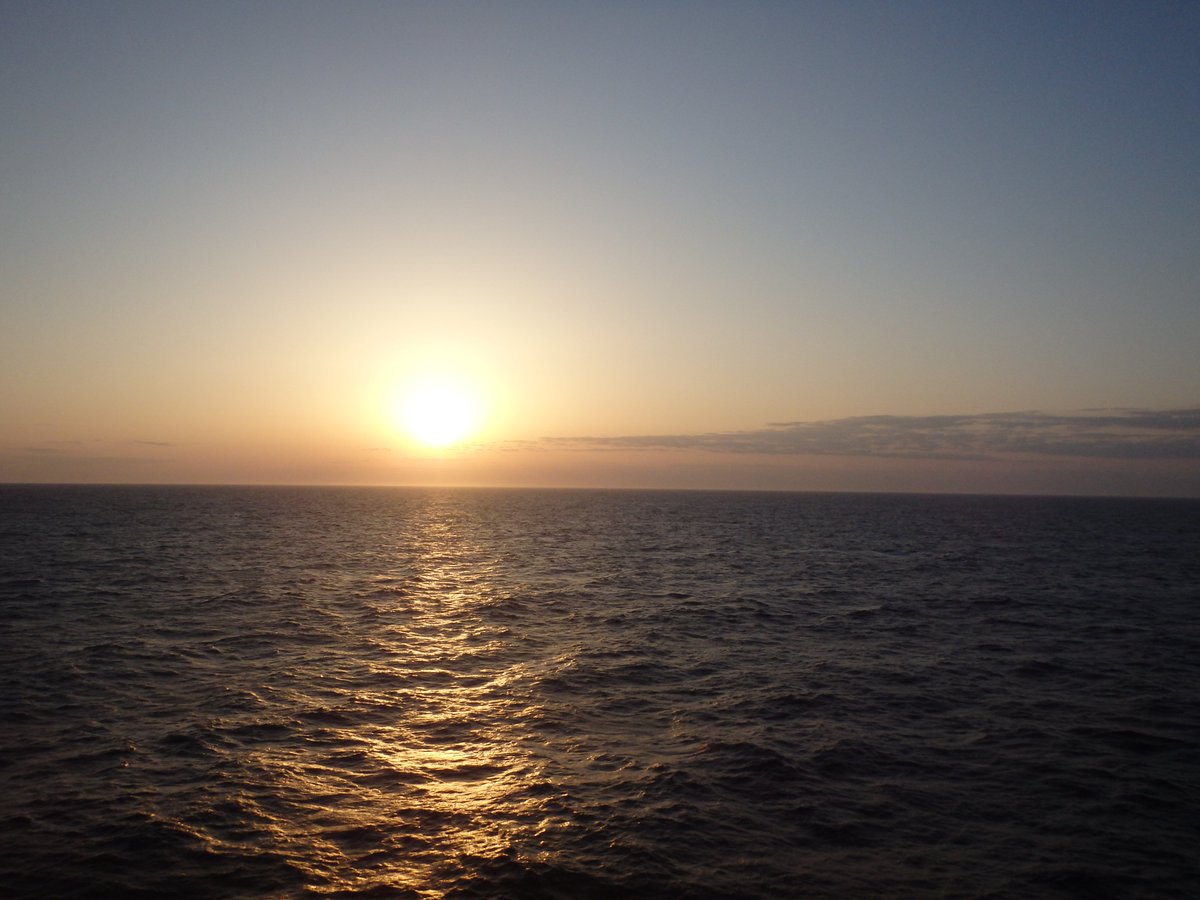 てらむら tweet media