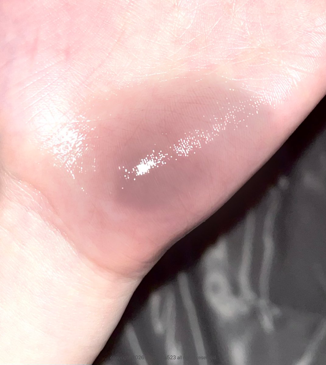 𝗣𝗢𝗥𝗥𝗜𝗠𝗔 tweet media