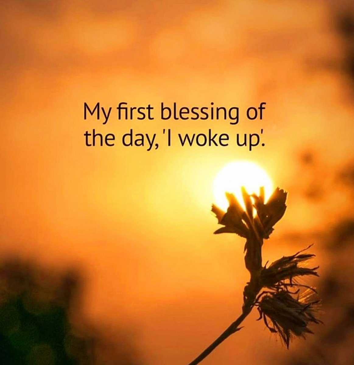 Jarmo Syväri tweet media