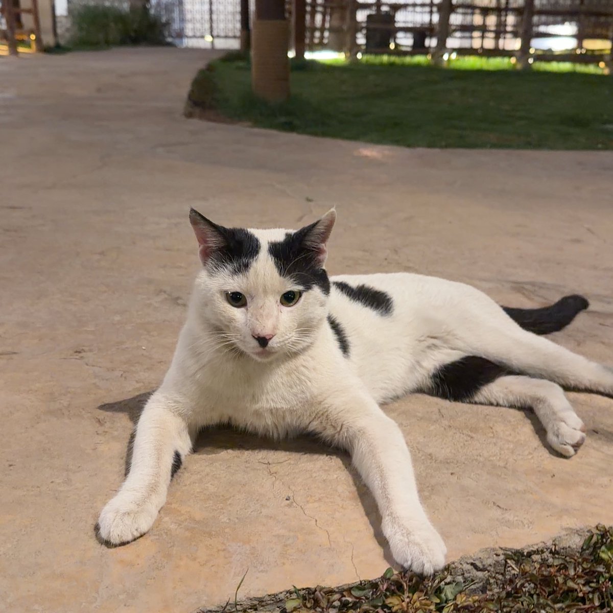 6V0 This action will have consequences… tweet media