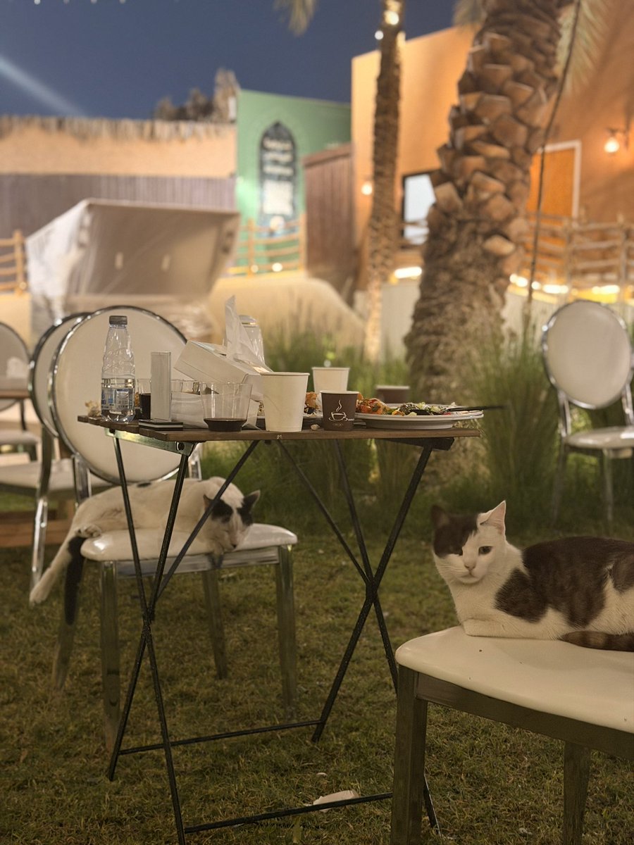 6V0 This action will have consequences… tweet media