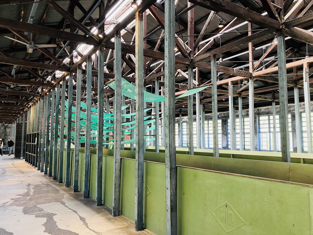 のこのこ tweet media