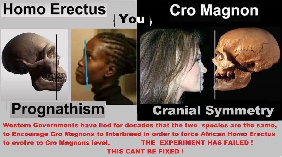 DevonianChud tweet media