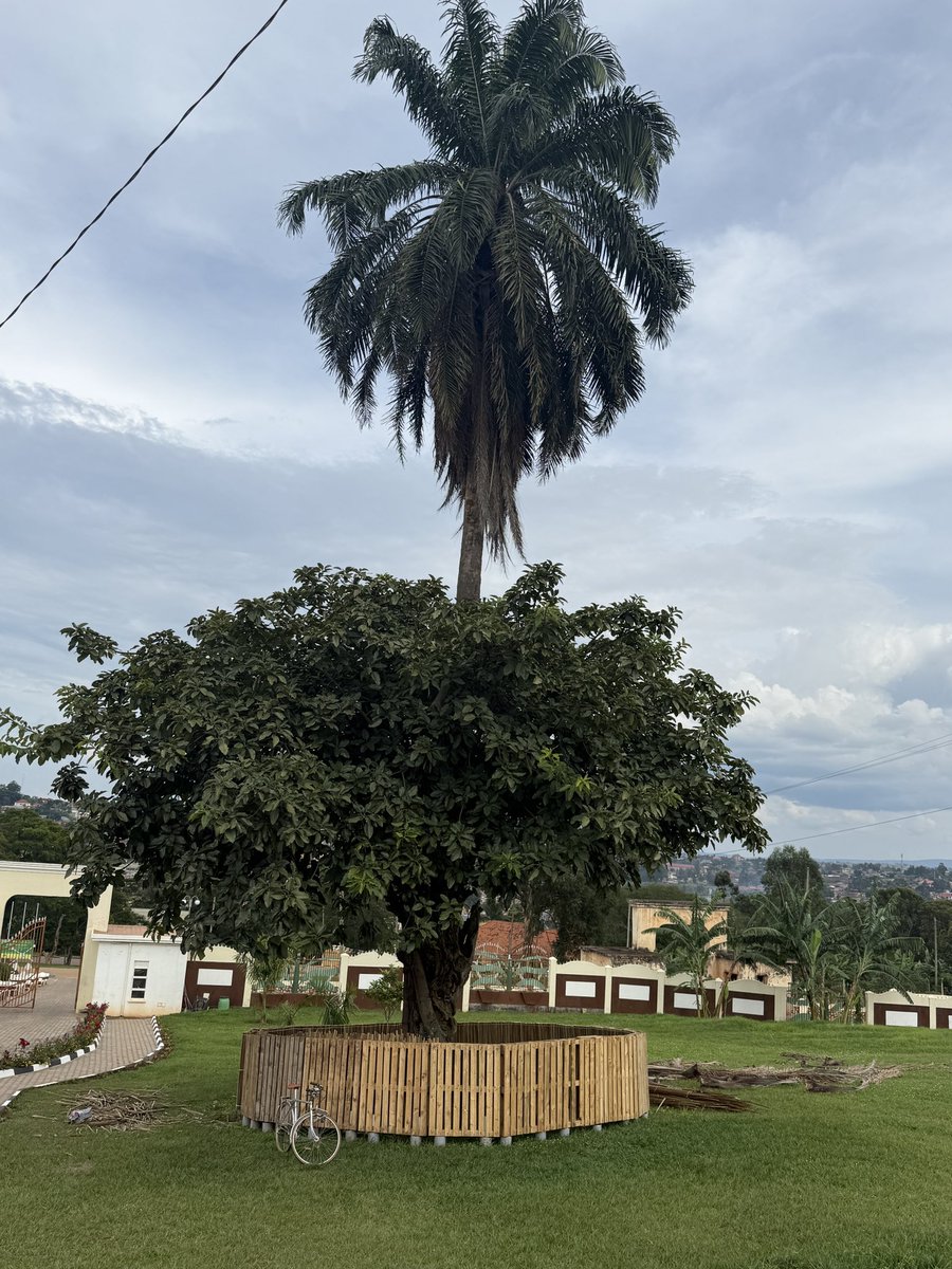 MUWONGE UMAR MULYAZAWO tweet media