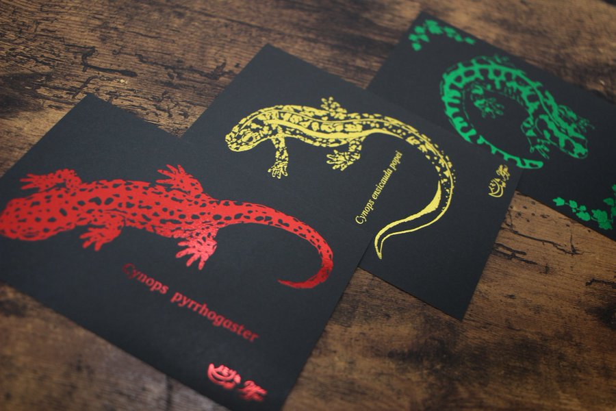 ぴょん犬(有尾手帖) tweet media