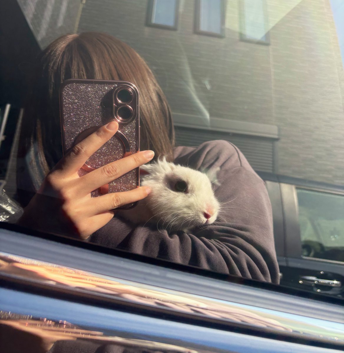 Rさん🐰 tweet media