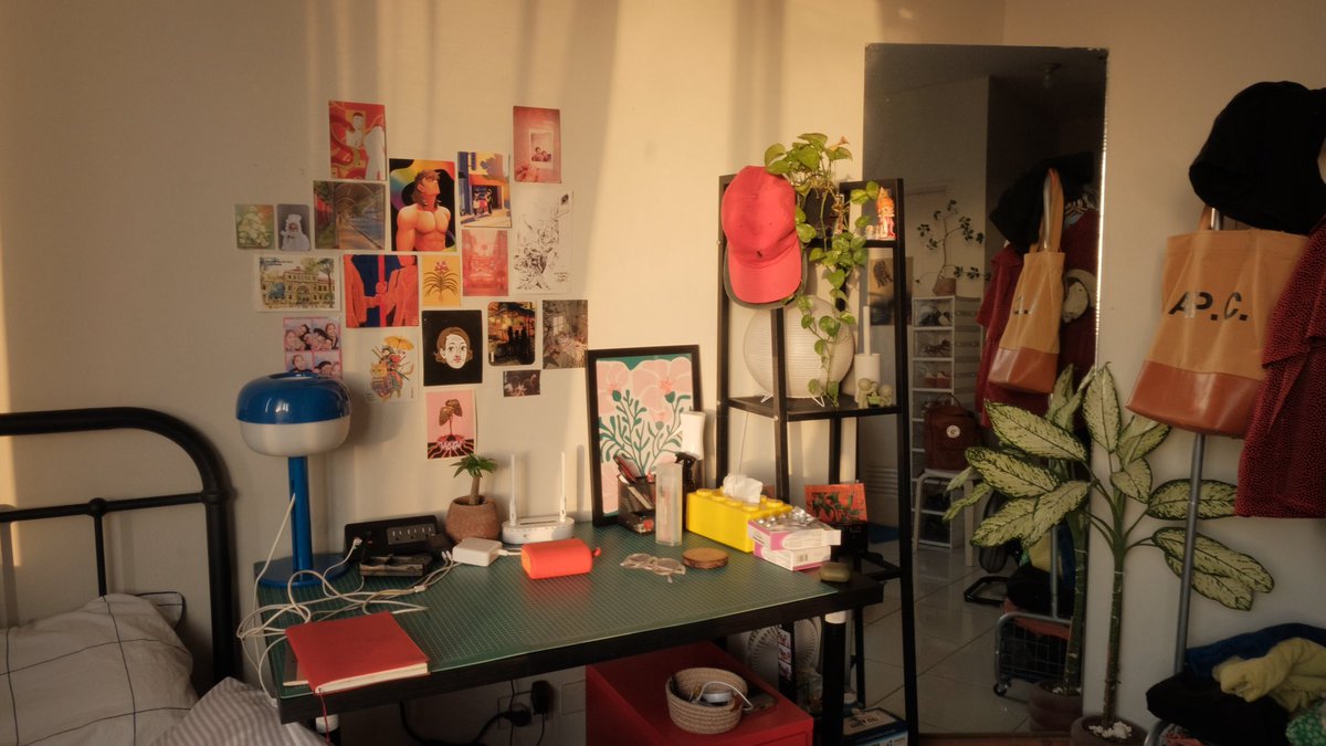 noel 🇵🇸 tweet media