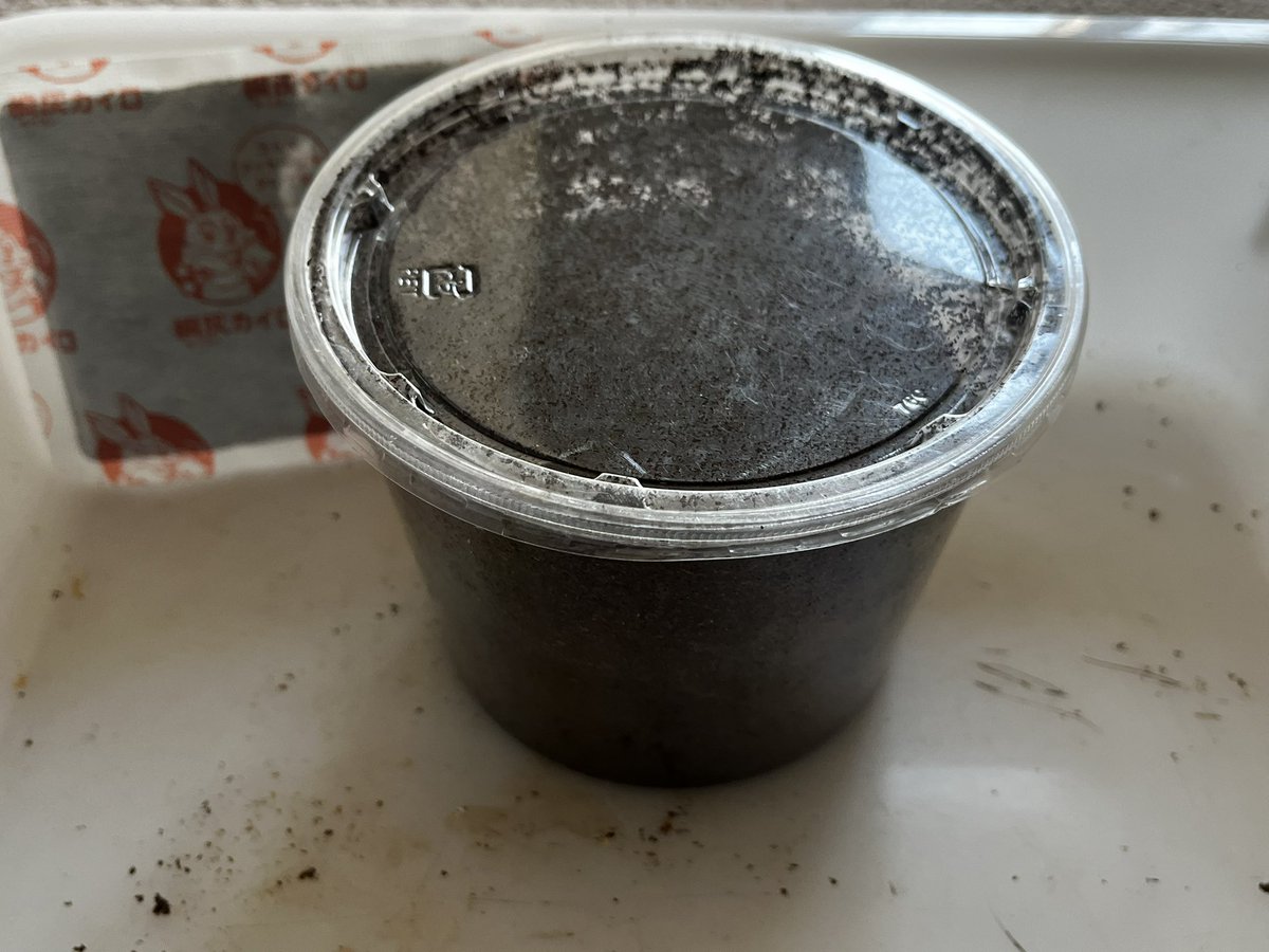 tmtk86's tweet photo. 幼虫頭数当てクイズで、プレゼント頂きましたニジイロ幼虫ちゃんズが届きました✨😁
６匹頂いて、６匹元気に届いてます🐛
FUJIさんありがとうございます🙌
うちの温度に慣れたら、カンタケブロックで、まずは多頭管理してみようかな？ https://t.co/lhC2dKN7XW