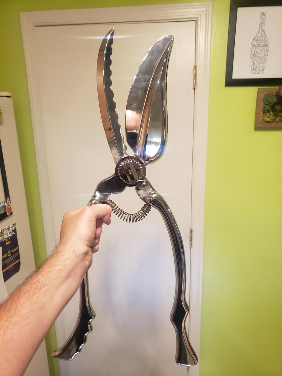 SoCalBeachDaze tweet media