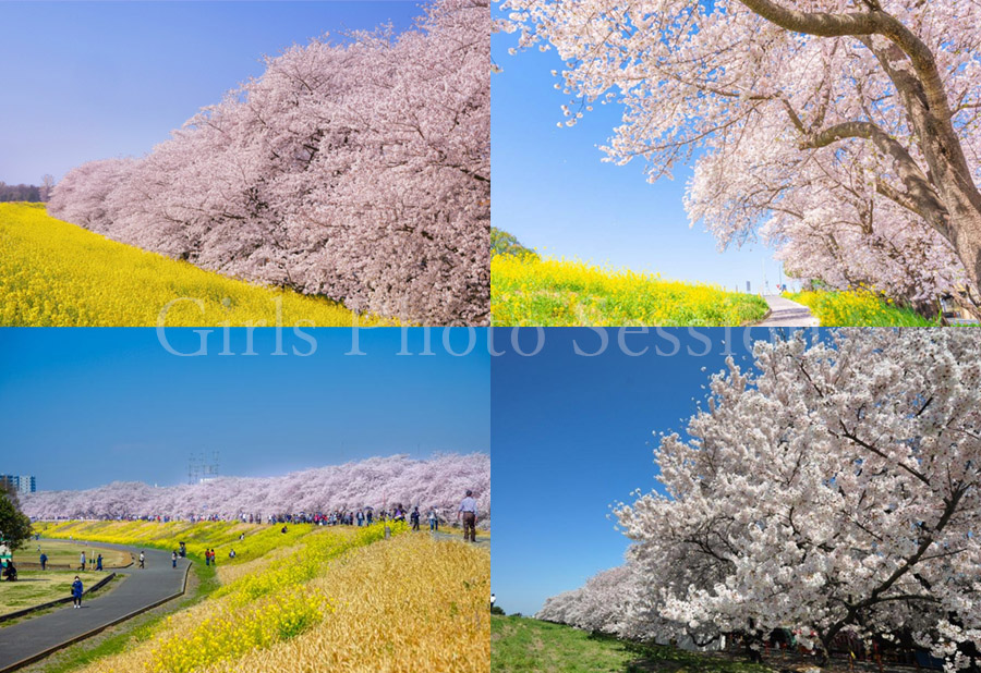 GirlsPhotoSession tweet media