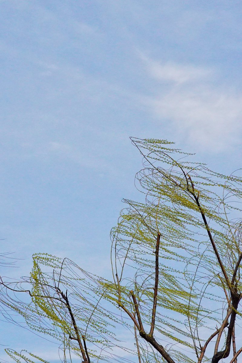 冬瓜 ౨ৎ tweet media