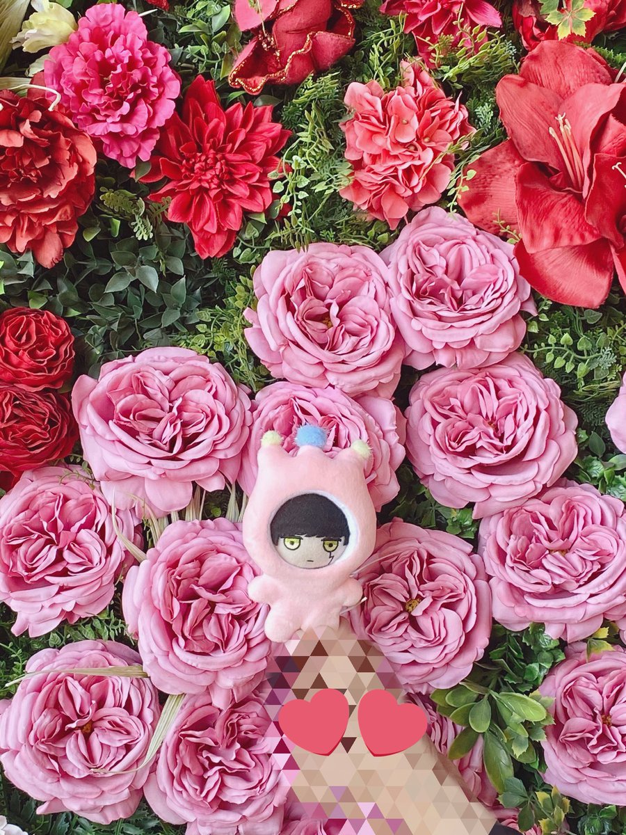 お花の妖精ですな🍄