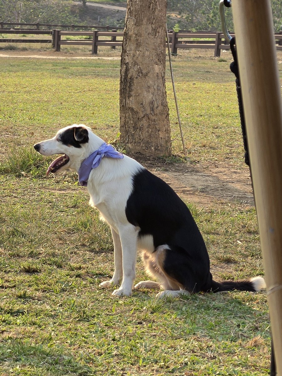 ครูพบเมฆตัวจริงเฟรนลี่มากไม่กัดเลย 

#LoveYouTeacherSeriesEP1