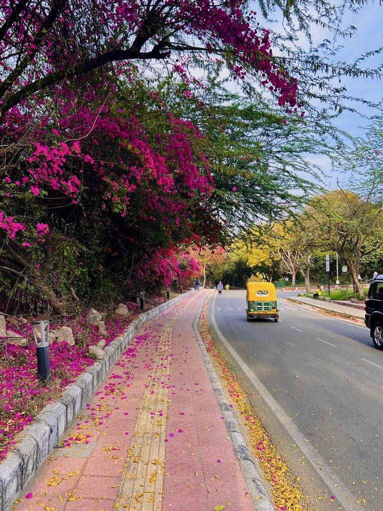 ساحل کاظمی tweet media