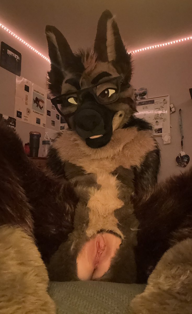 lycan and durrr ⛓️‍💥 tweet media