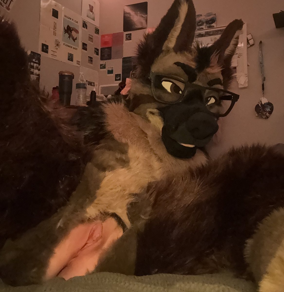 lycan and durrr ⛓️‍💥 tweet media