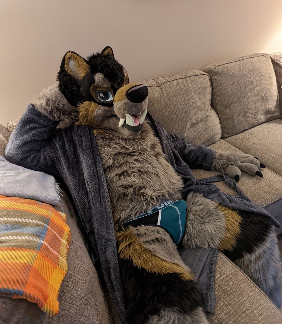 Poly the Werewolf tweet media