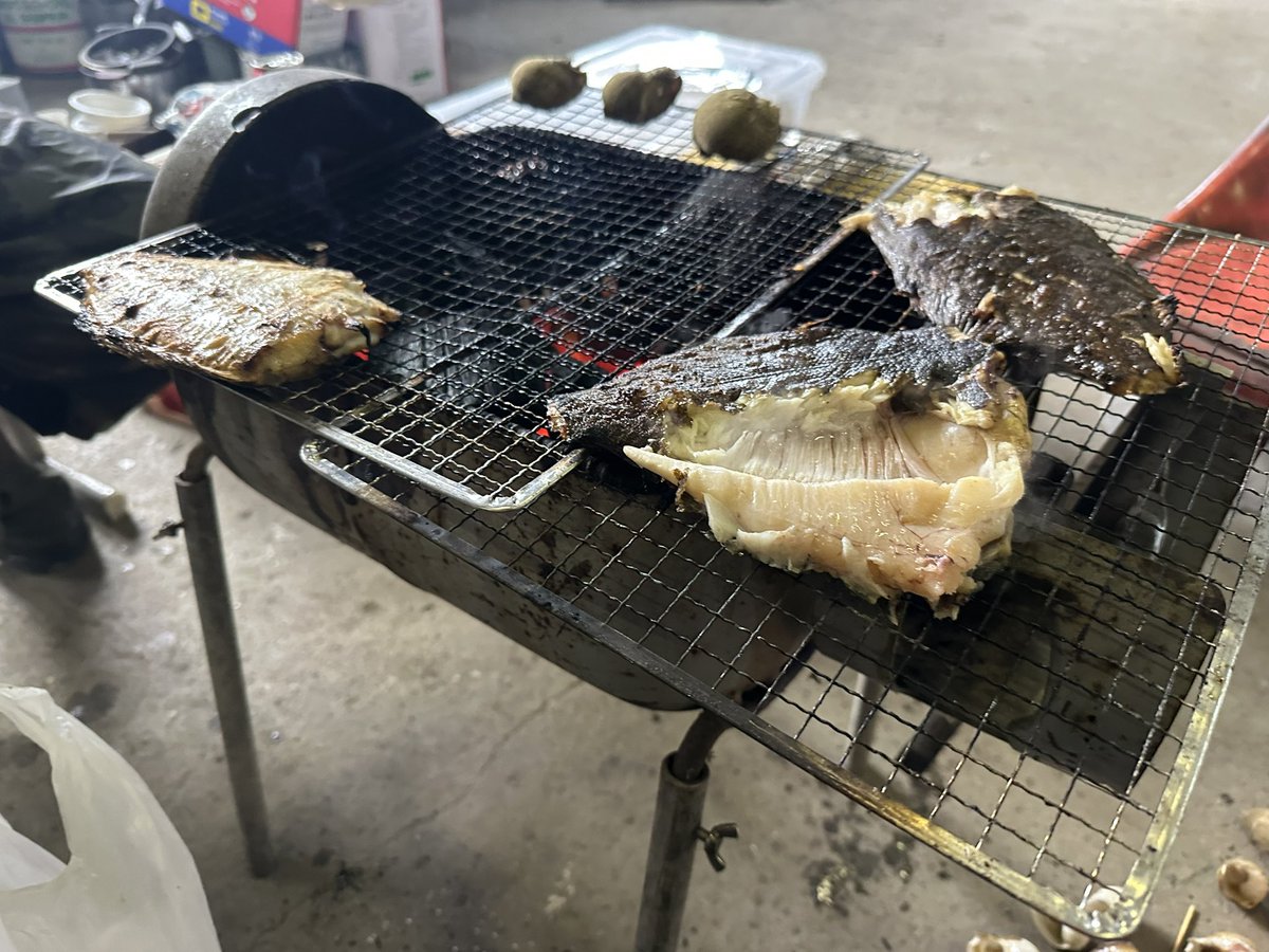 Rikudo128's tweet photo. 今日も今日とて https://t.co/rMuKvM3AJl
