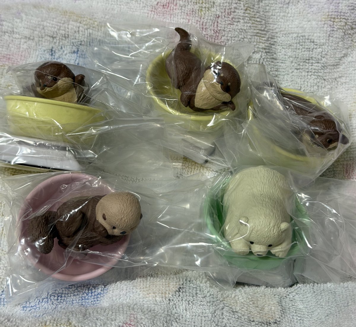 lunetta055's tweet photo. 【交換】今日も、すくすく成長中！

譲✩コツメカワウソ✖️3、ラッコ、シロクマ
求✩アザラシ

都内手渡し、郵送交換希望です。 https://t.co/90yCfcKs9T
