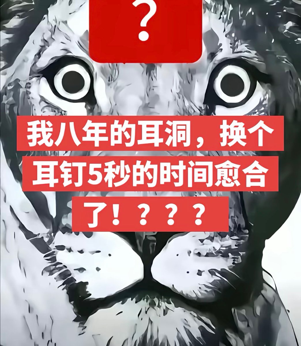 由依🍥 tweet media