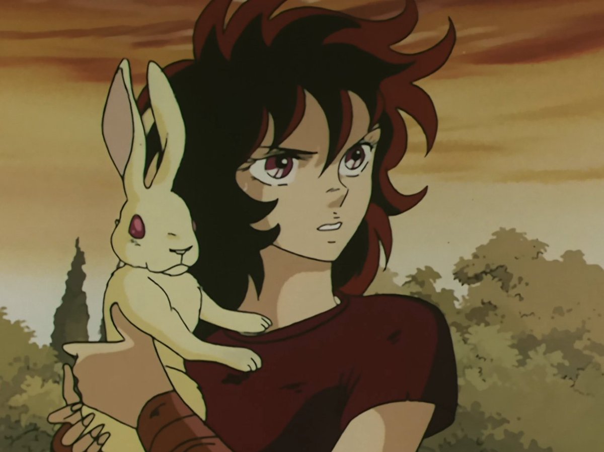 Toei Animation Latinoamérica tweet media