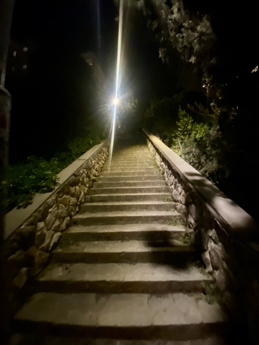 בועולוג tweet media