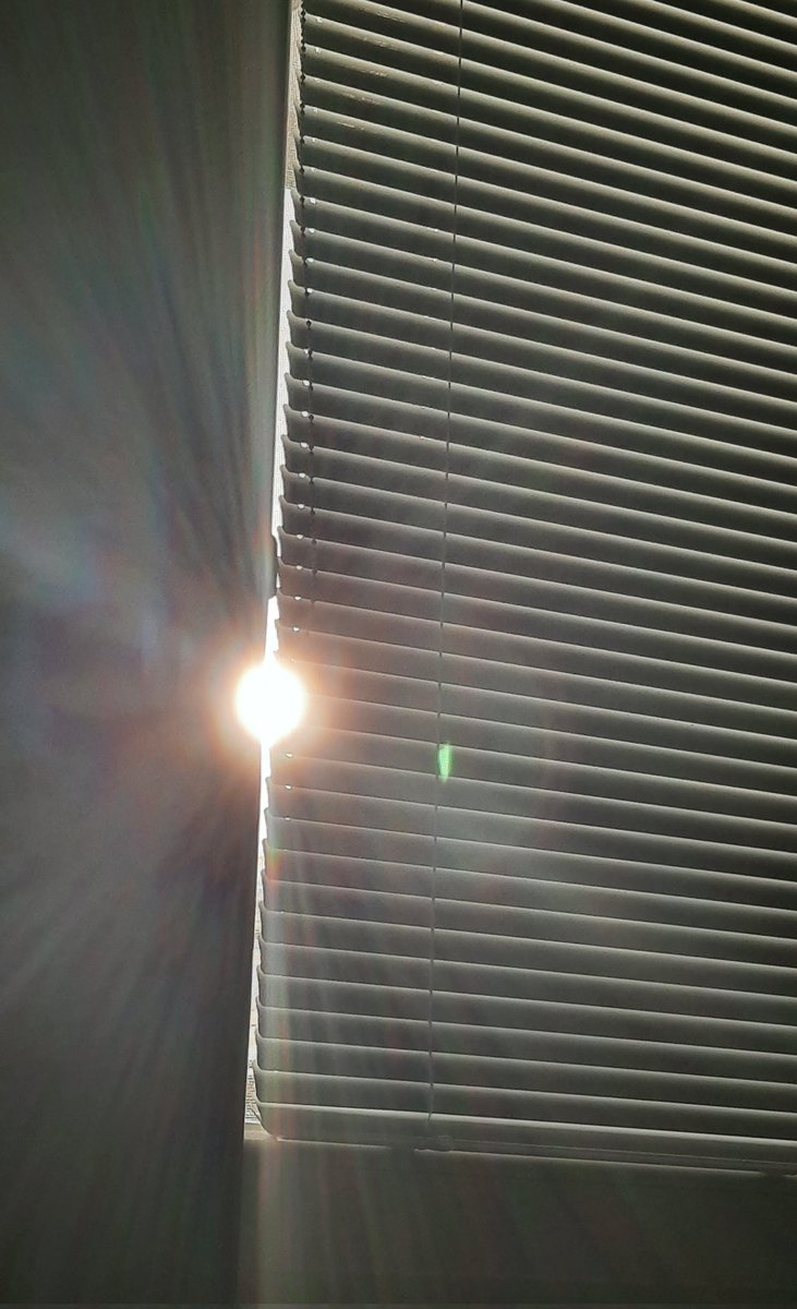 Che oggi sia una giornata ricca di parole gentili e momenti meravigliosi.
Buongiorno e bella domenica a bella gente 🌞🌞💙🕊🌷