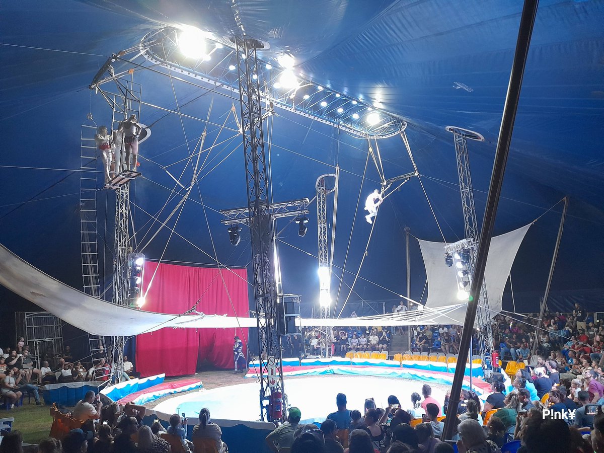 mclarenscircus's tweet photo. A full house is expected to enjoy #McLarenCircus Spectacular Show in #Hartenbos Today🎪😂🦁🐯🐴🐩🤡🥳😅😍❤️
Coming Soon to #Riversdal #Brackenfell #CapeTown & #Paarl #WesternCape #LoveCircus
Blessed Sunday Goss Ndaba #SAFTAs19 Sundowns
Buy Tickets Online: https://t.co/Y5XPaa1RcI https://t.co/GJJRQCOCPU